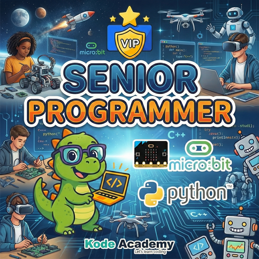 Senior Programmer VIP (Ages 11 - 14)
