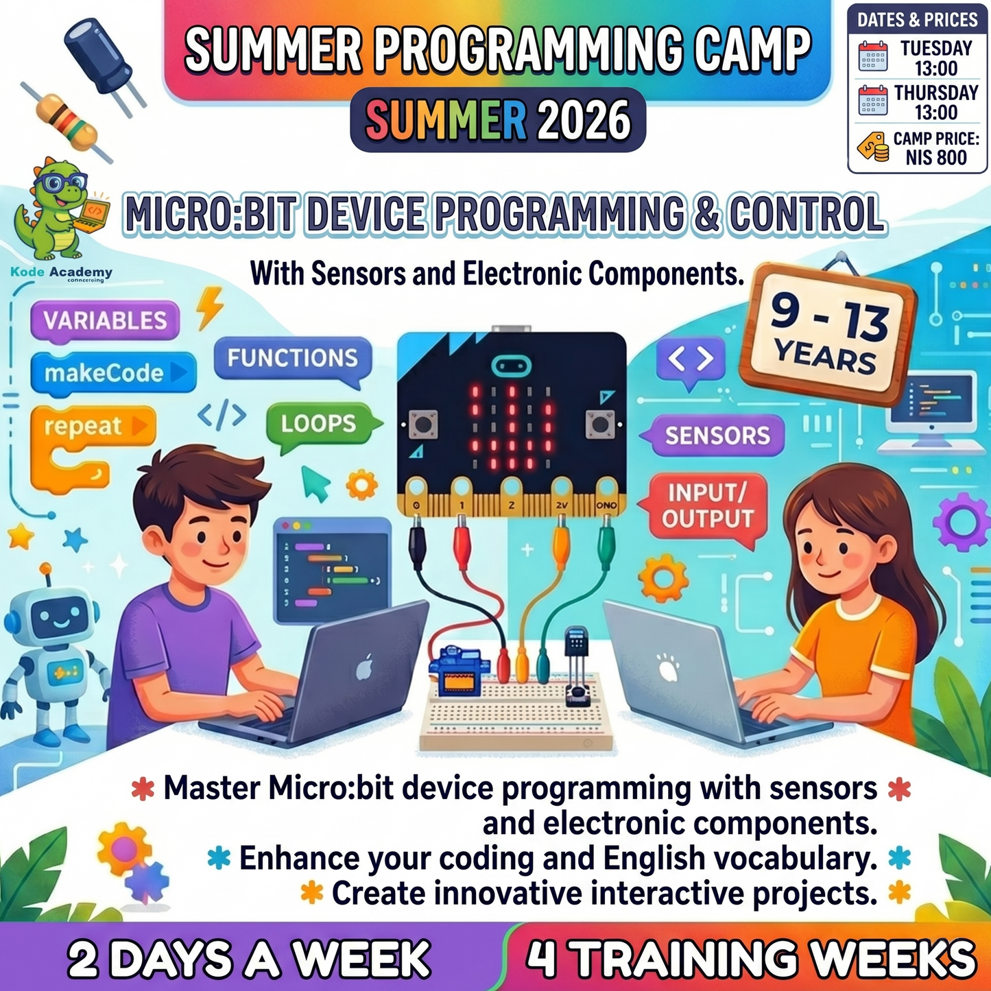 Summer microbit programmer camp 2026