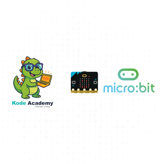 Micro:bit programming course (Ages 10-12)