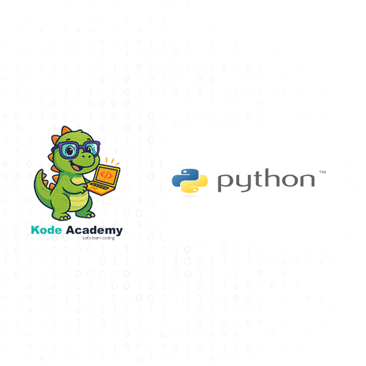 Python programming course (Ages 12-16)