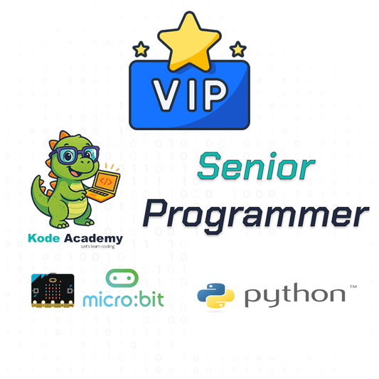 Senior Programmer VIP (Ages 10 - 16)